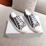 Dior Sneakers: Elevate Your Style